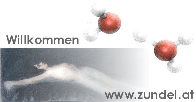 Klicken Sie auf das Bild um zur offiziellen Homepage über den Physiker Georg Zundel und seinen Vater, den Maler Georg Friedrich Zundel zu gelangen!